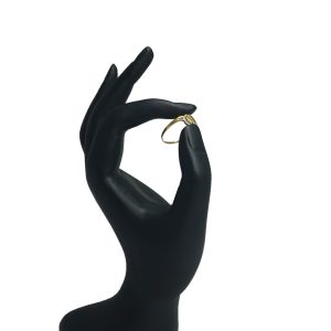 Molding Ring – Minimal wear